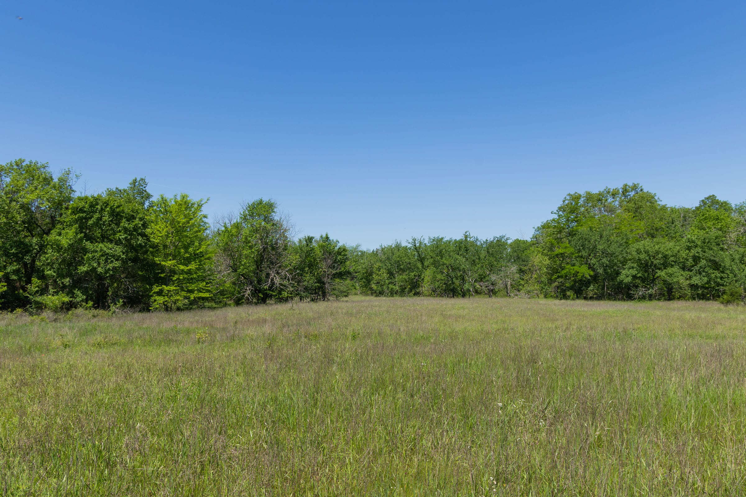 Harmony Hills Tract 23 photo 14