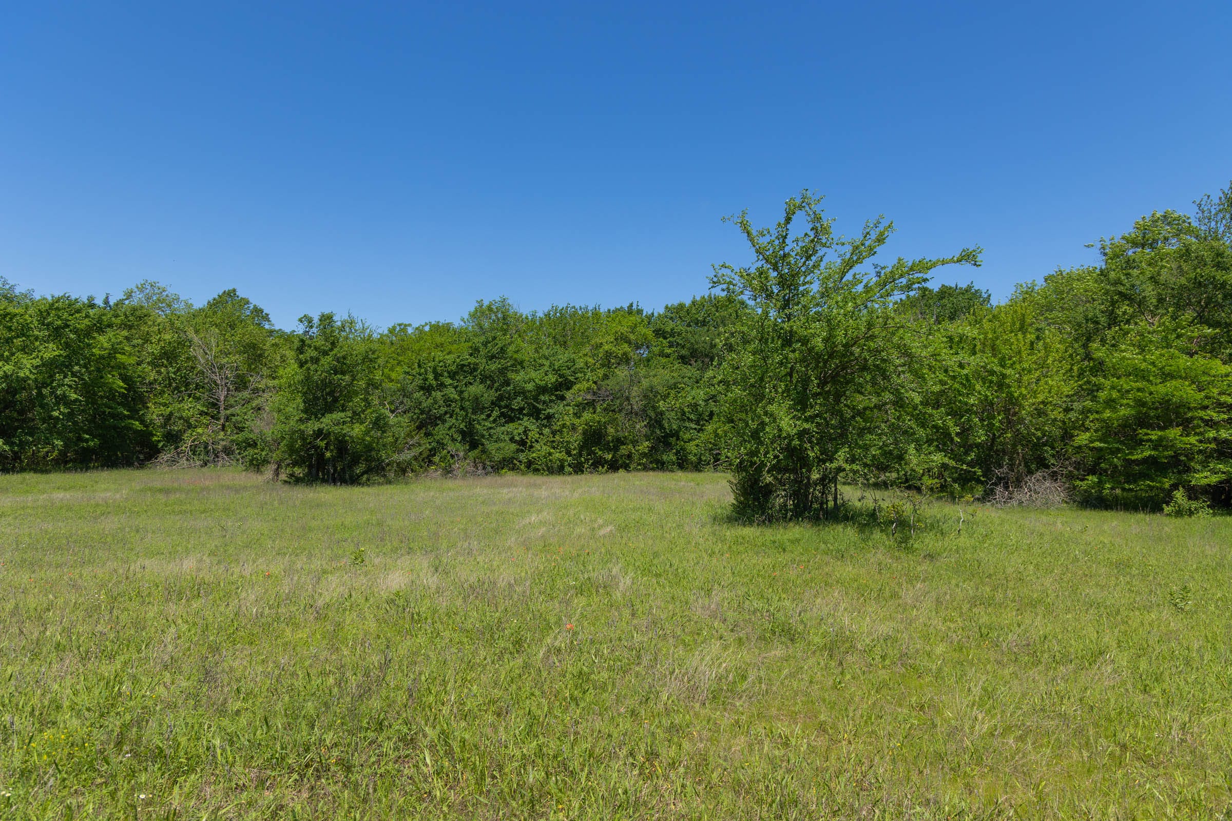 Harmony Hills Tract 23 photo 5