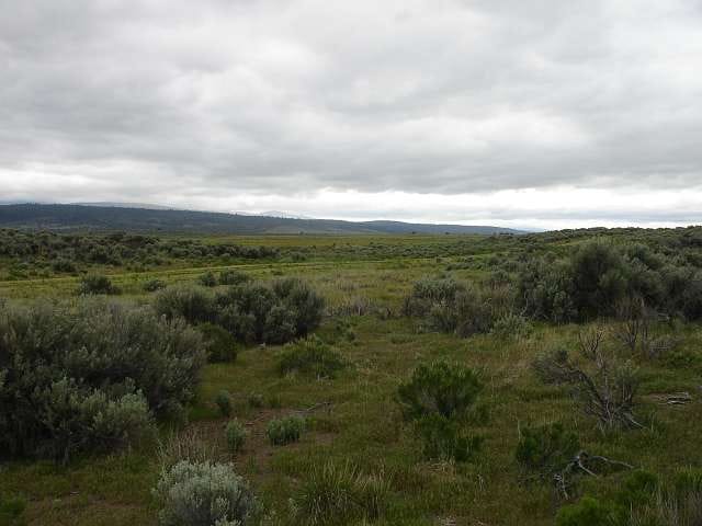 California Pines Tract 8 photo 5