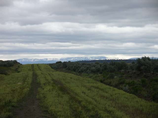 California Pines Tract 8 photo 7