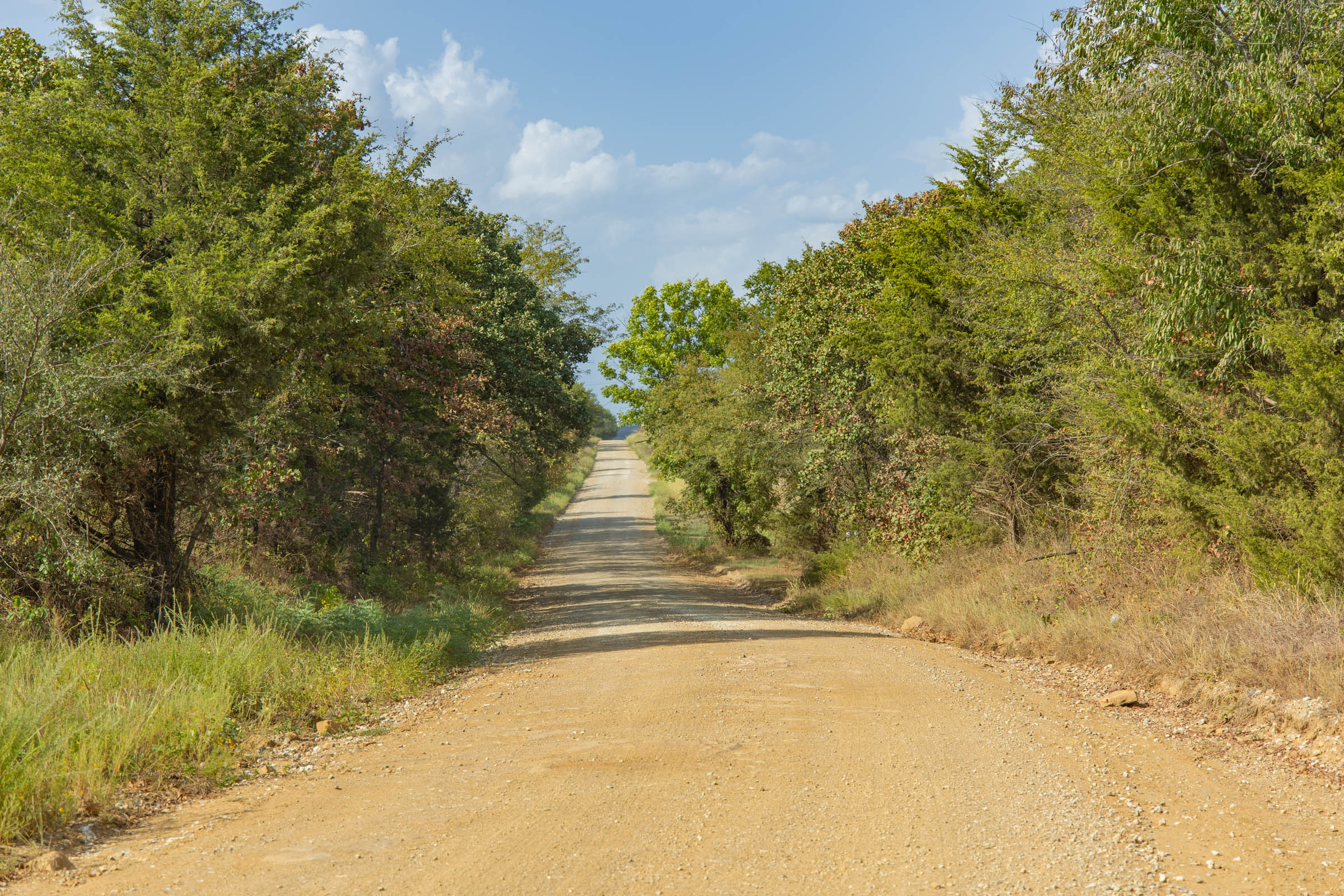 Gracyn Meadows Tract 5 photo 5
