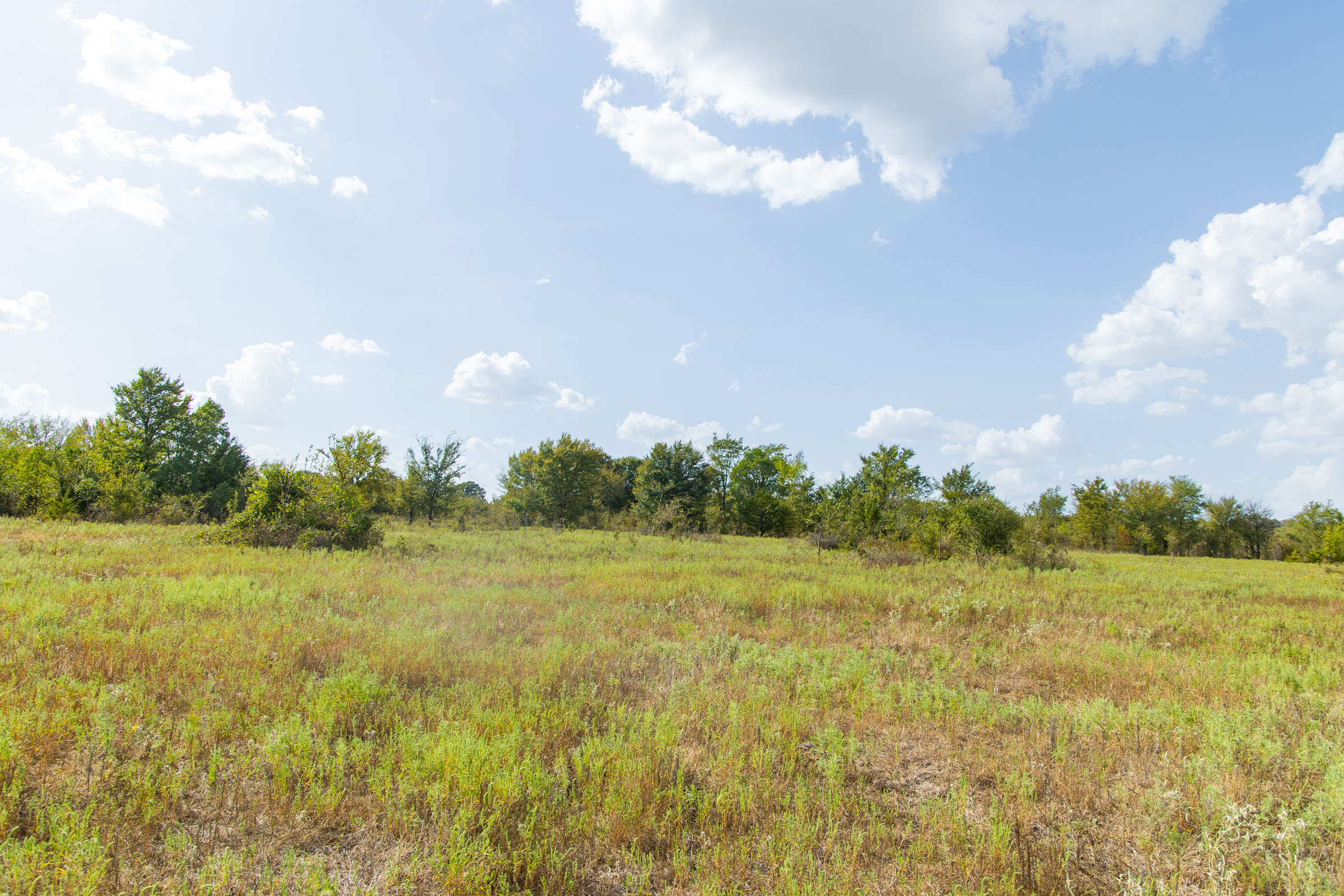 Gracyn Meadows Tract 5 photo 1