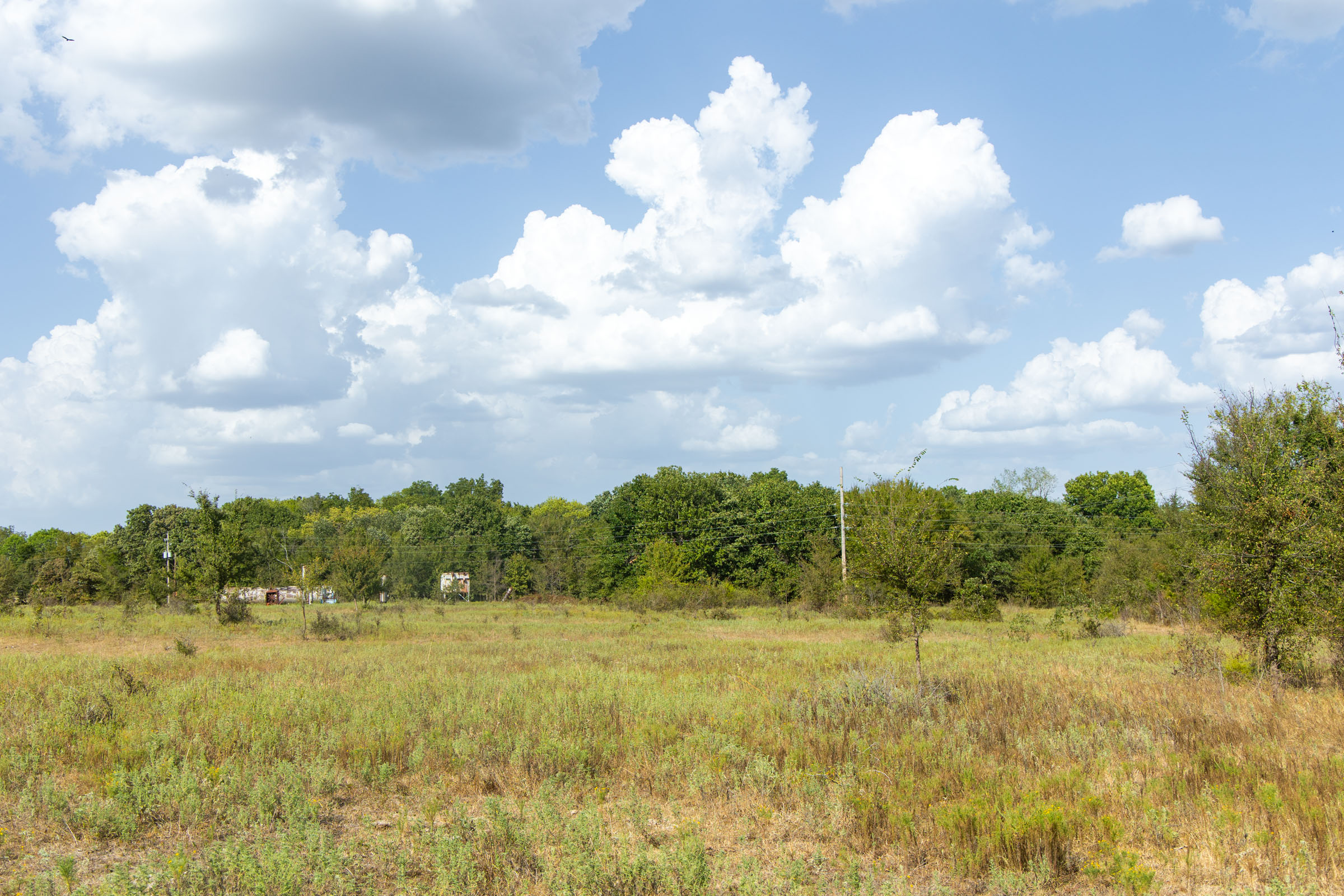 Gracyn Meadows Tract 5 photo 2