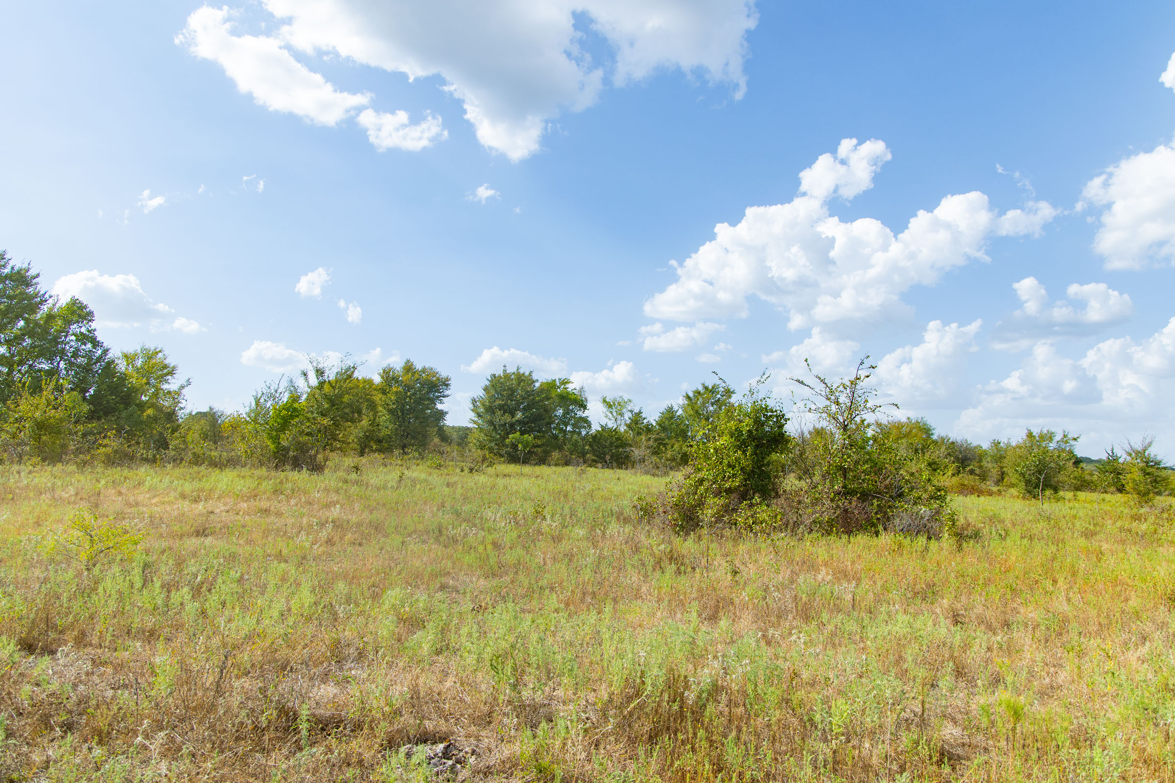 Gracyn Meadows Tract 5 photo 8