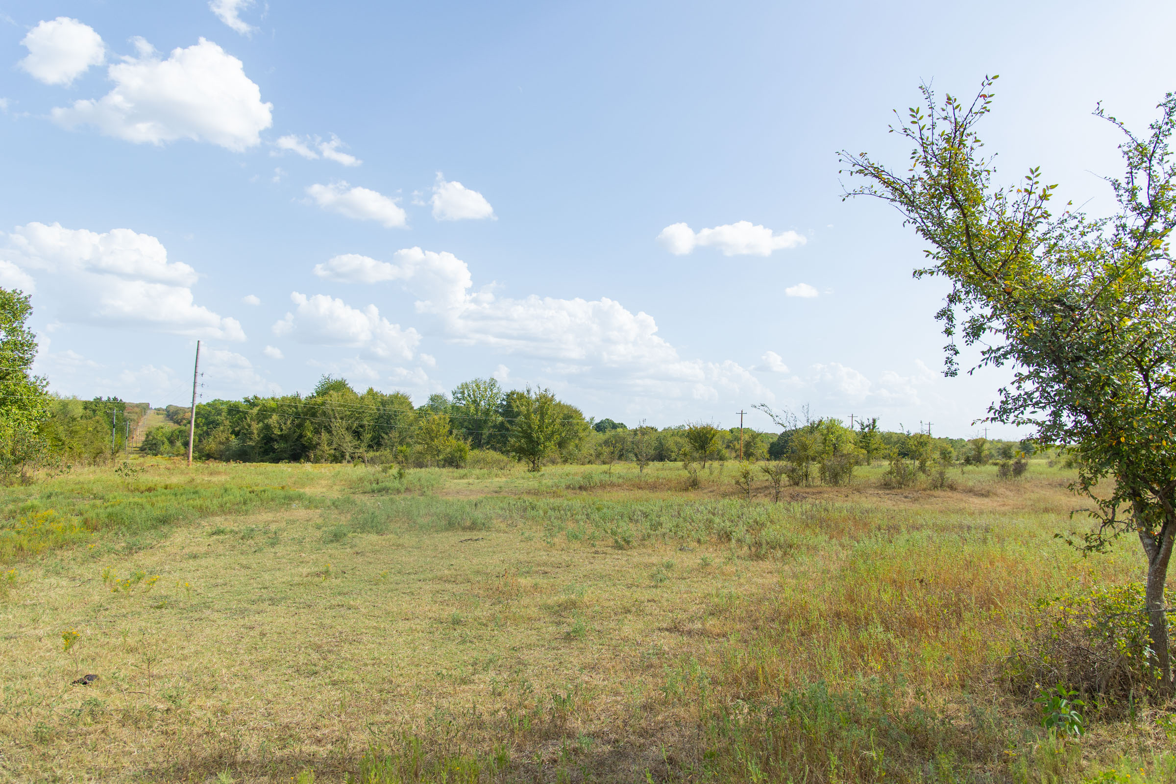 Gracyn Meadows Tract 5 photo 10