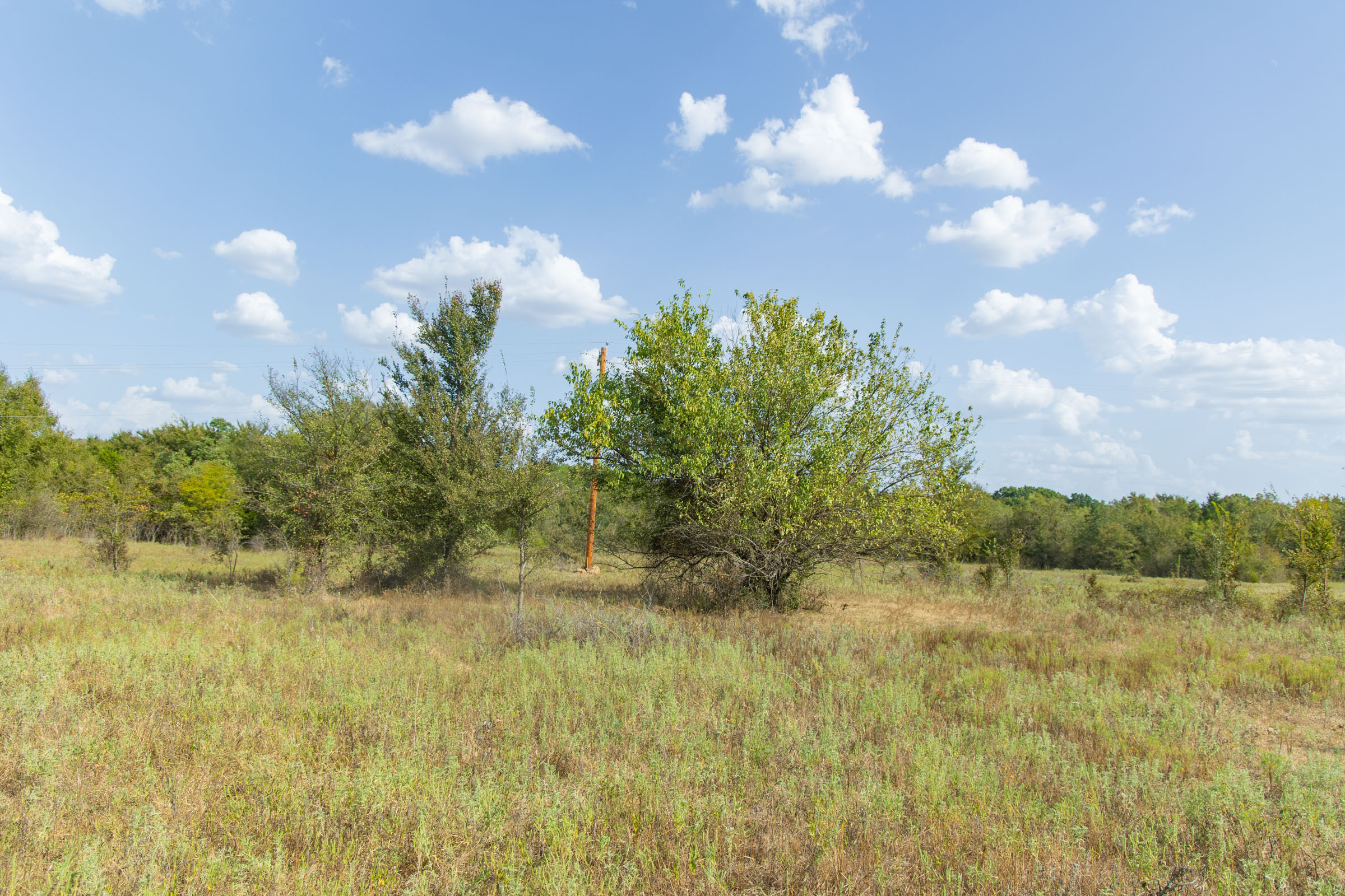 Gracyn Meadows Tract 5 photo 6