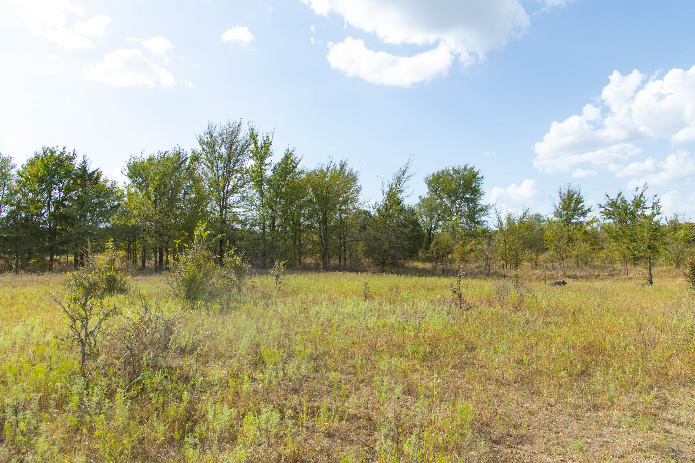 Gracyn Meadows Tract 5 photo 11