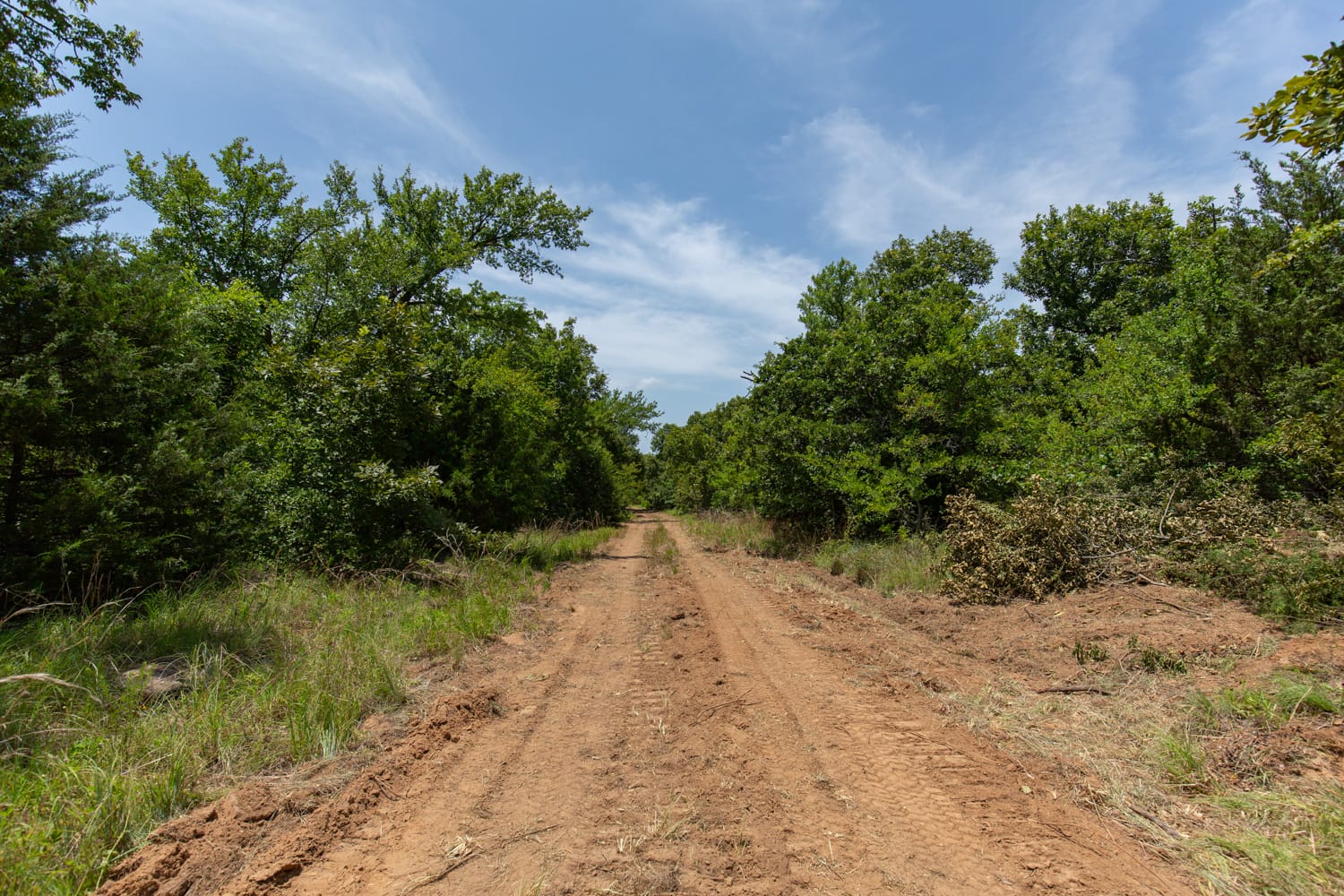 Timber Ridge Tract 59 photo 2