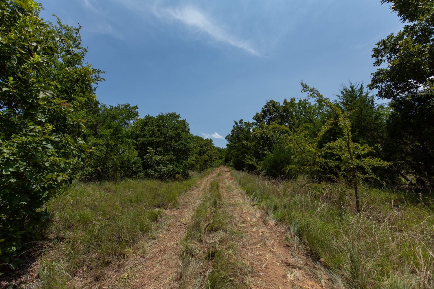 Timber Ridge Tract 59 photo 5