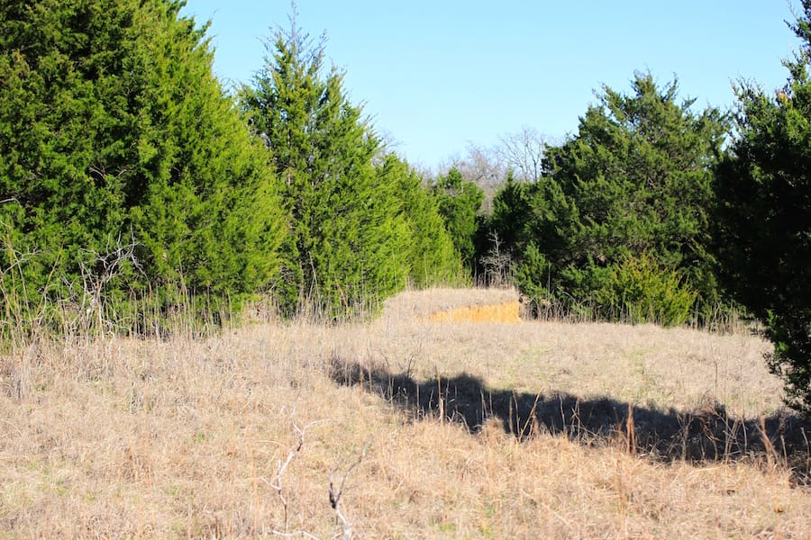 Montgomery Ranch Tract 17 photo 8