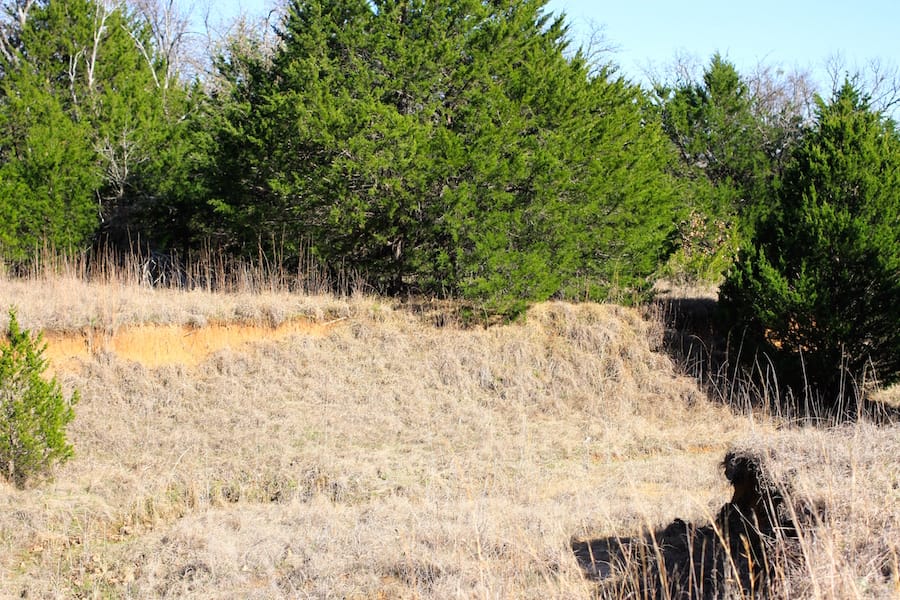 Montgomery Ranch Tract 17 photo 9