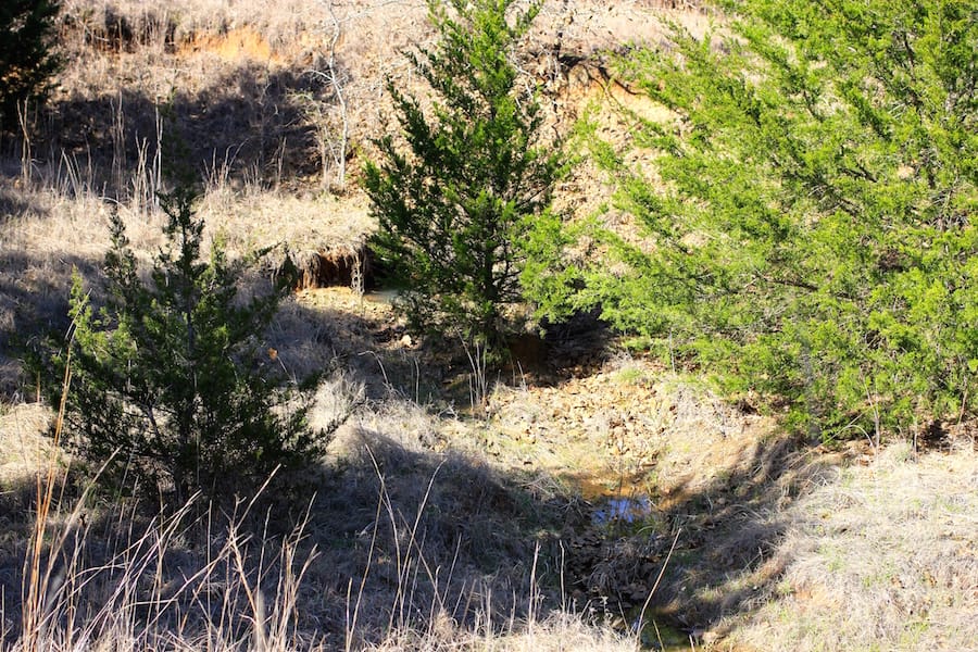 Montgomery Ranch Tract 17 photo 12