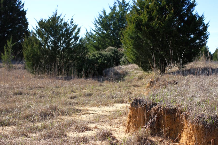Montgomery Ranch Tract 17 photo 13