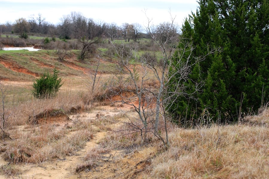 Montgomery Ranch Tract 17 photo 15