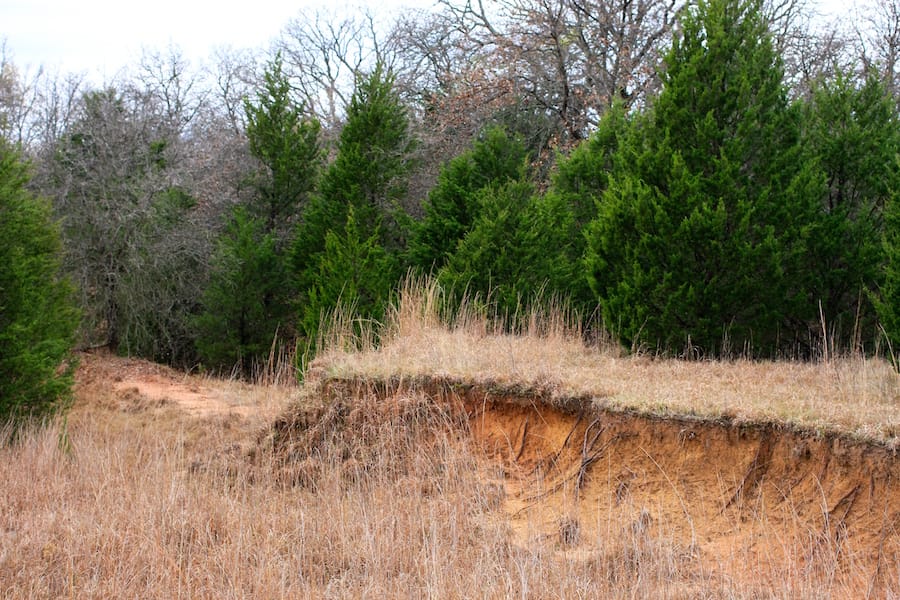 Montgomery Ranch Tract 17 photo 16