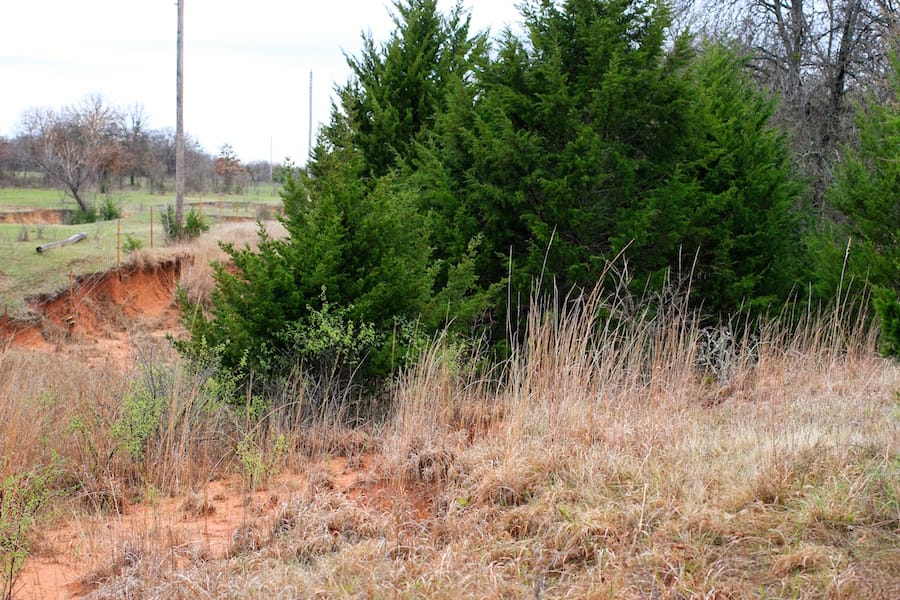 Montgomery Ranch Tract 17 photo 18