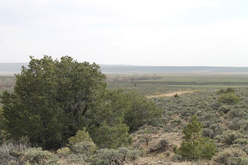 Eagle Ridge Ranch Tract 74 photo 11
