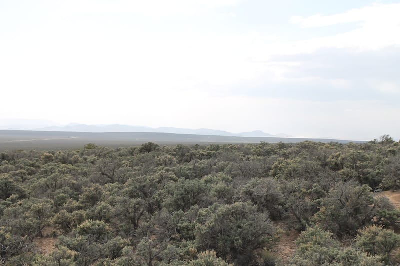 Eagle Ridge Ranch Tract 74 photo 12