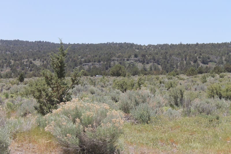 Moon Valley Ranch Tract 547 photo 5