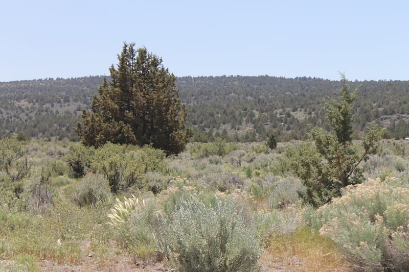 Moon Valley Ranch Tract 547 photo 7