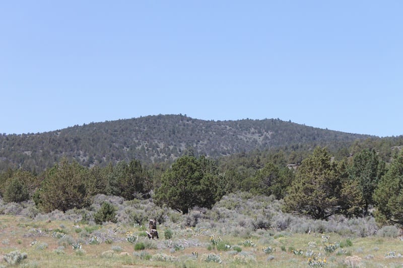 Moon Valley Ranch Tract 547 photo 8