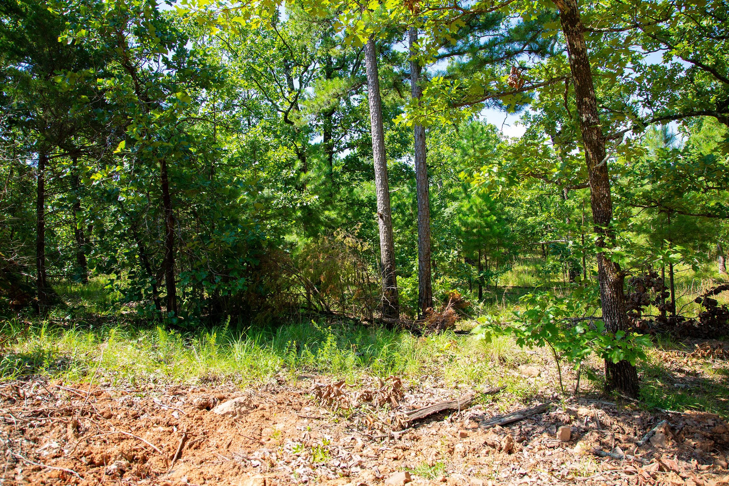 Tyler Stone Ranch Tract 74 photo 5
