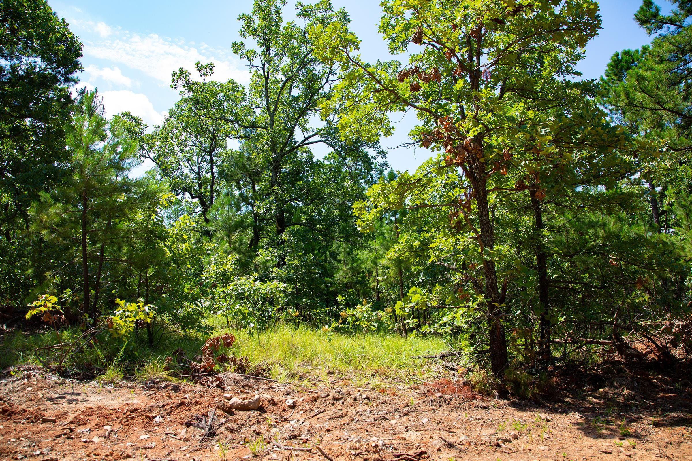 Tyler Stone Ranch Tract 74 photo 7