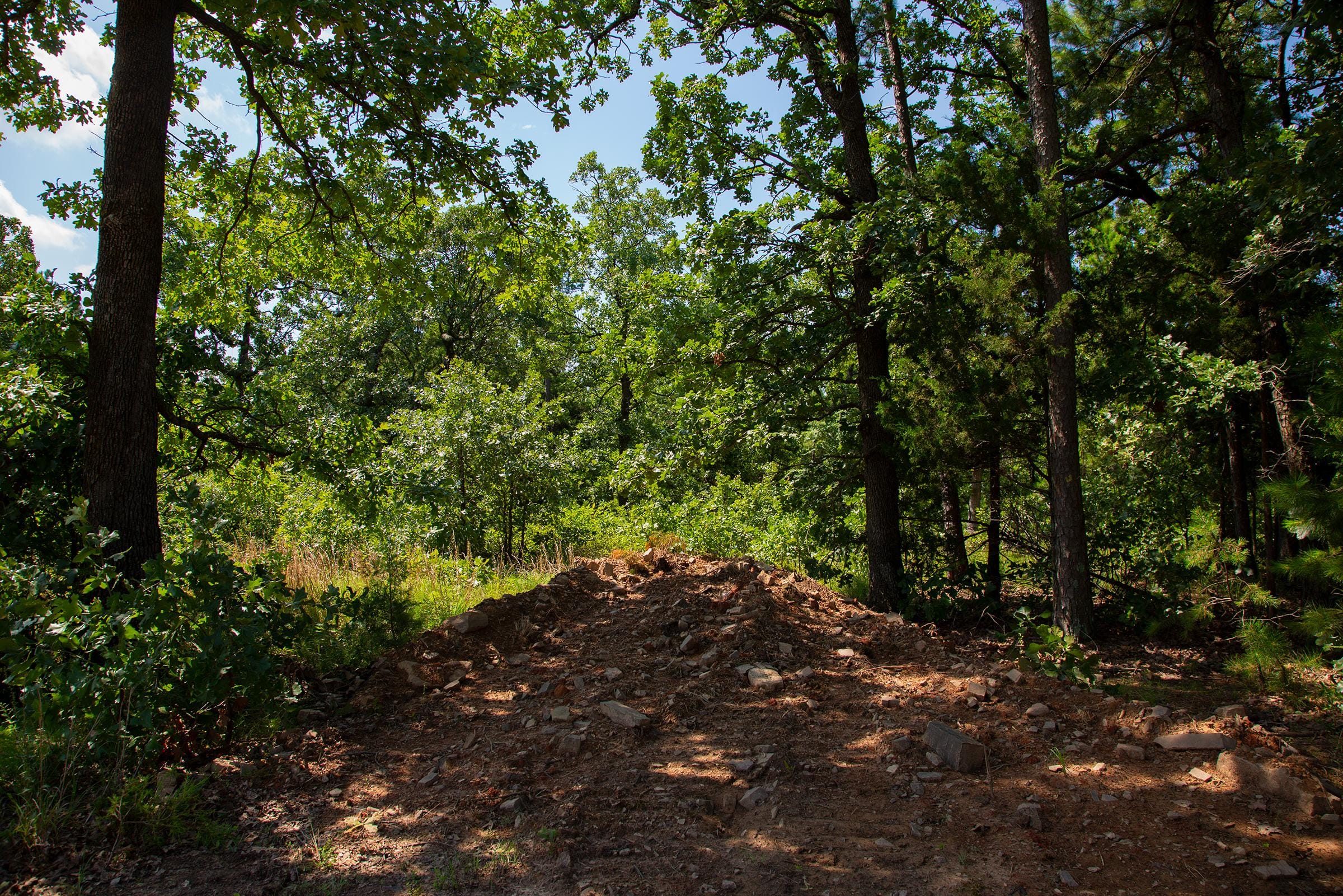 Tyler Stone Ranch Tract 74 photo 9
