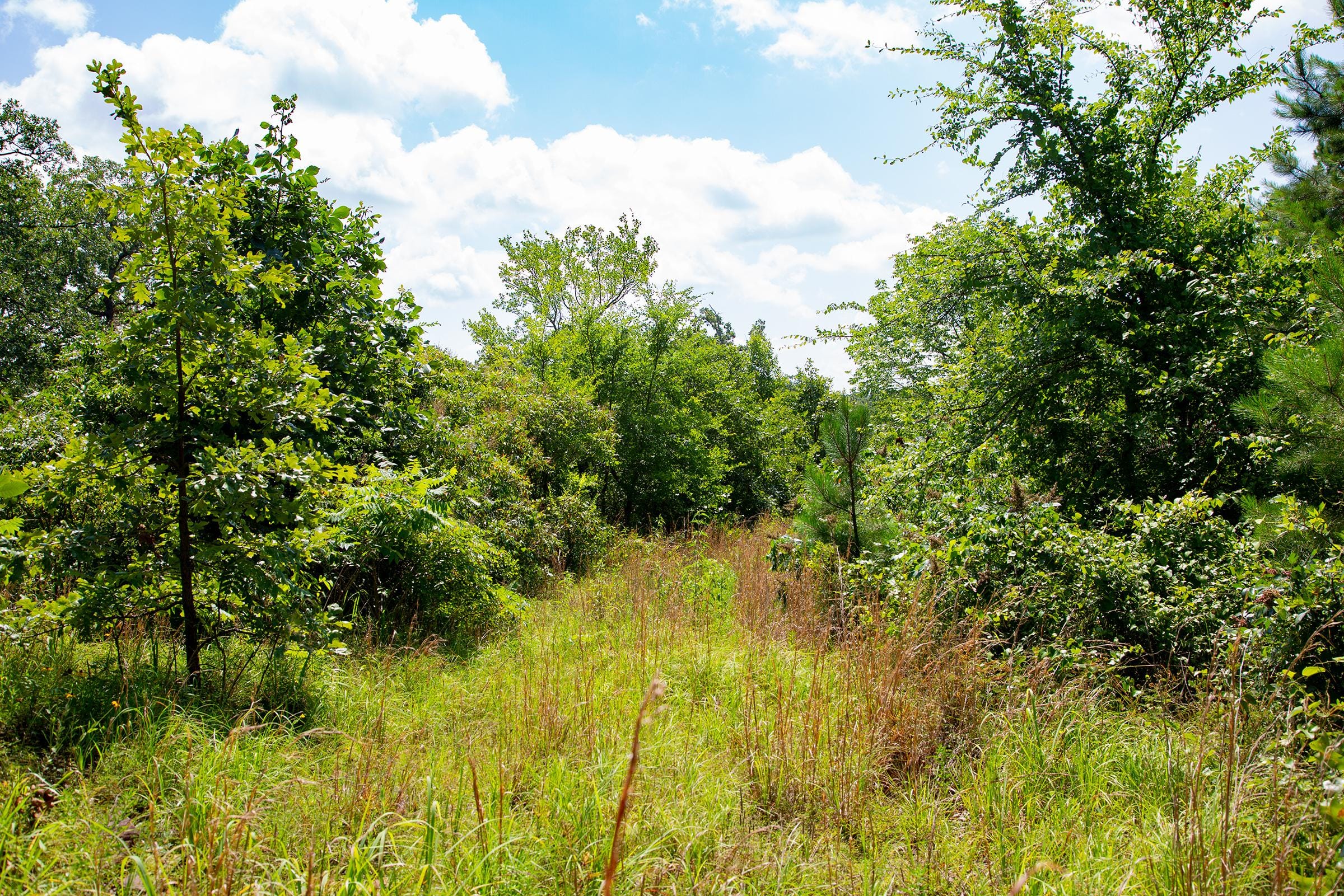 Tyler Stone Ranch Tract 74 photo 12