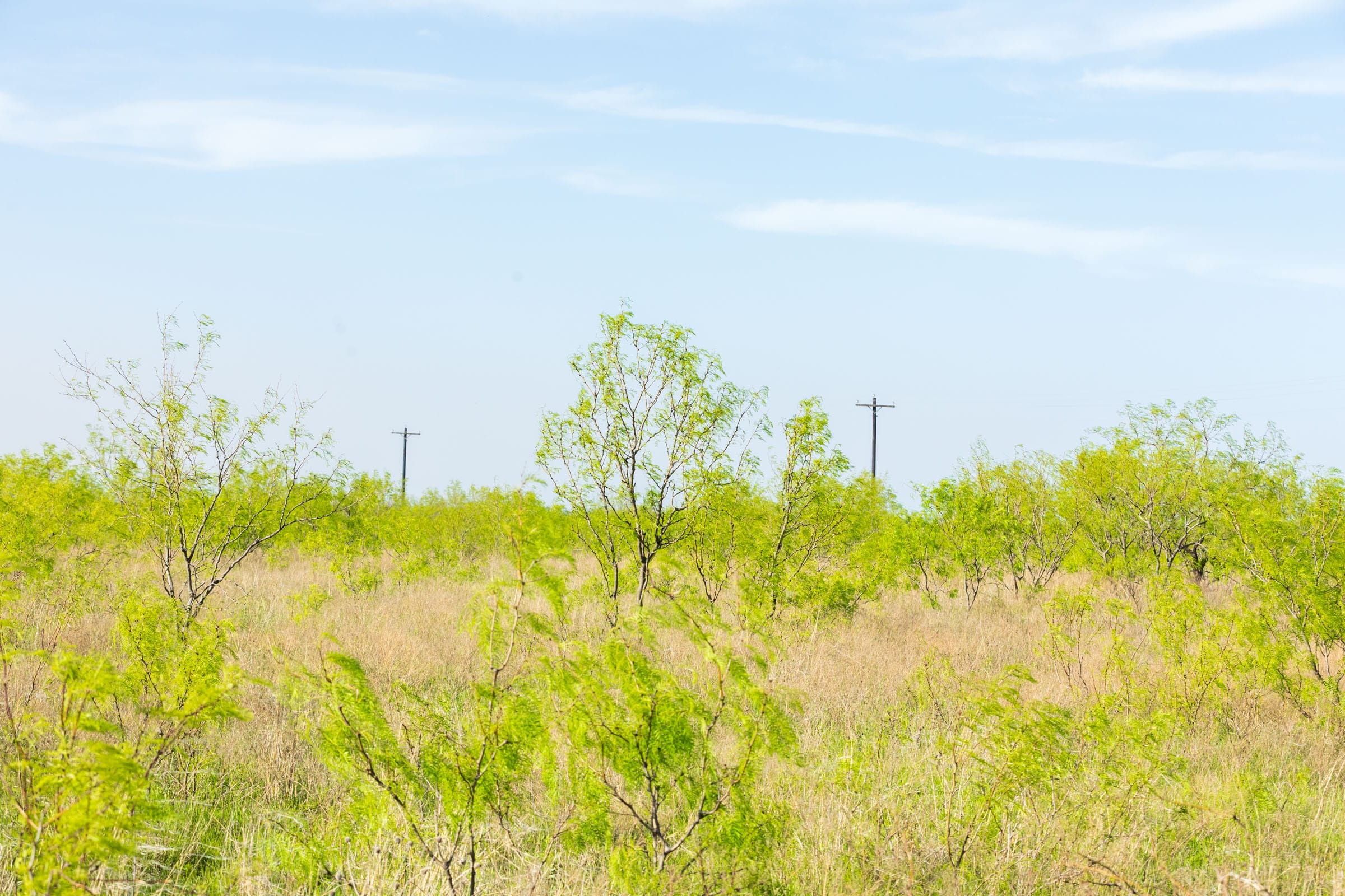Hackberry Fields Tract 14 photo 2