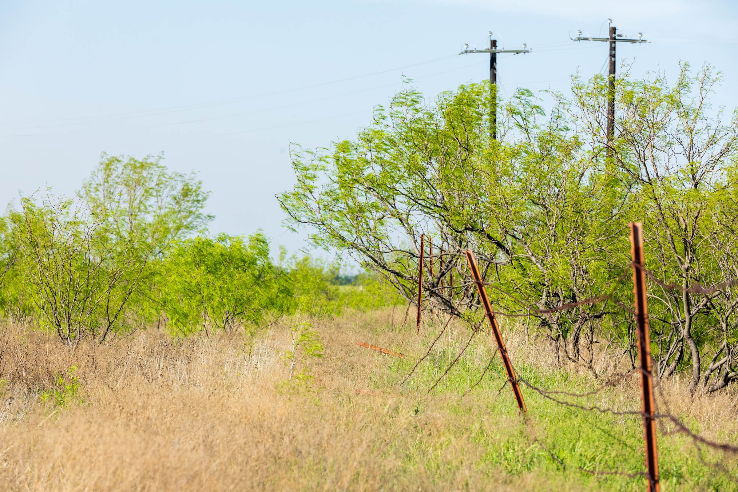 Hackberry Fields Tract 14 photo 3