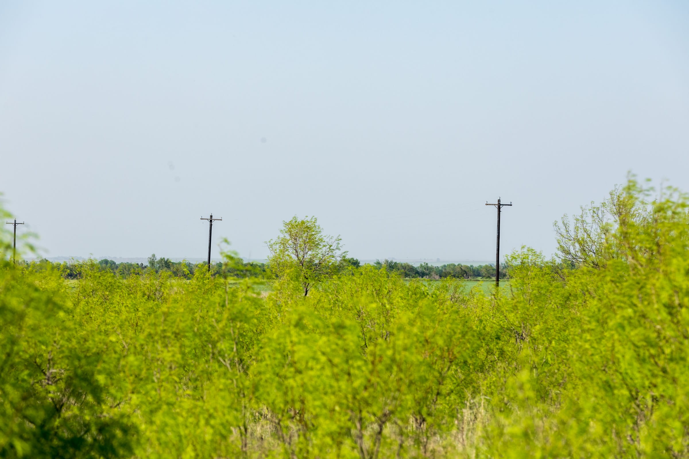 Hackberry Fields Tract 14 photo 8