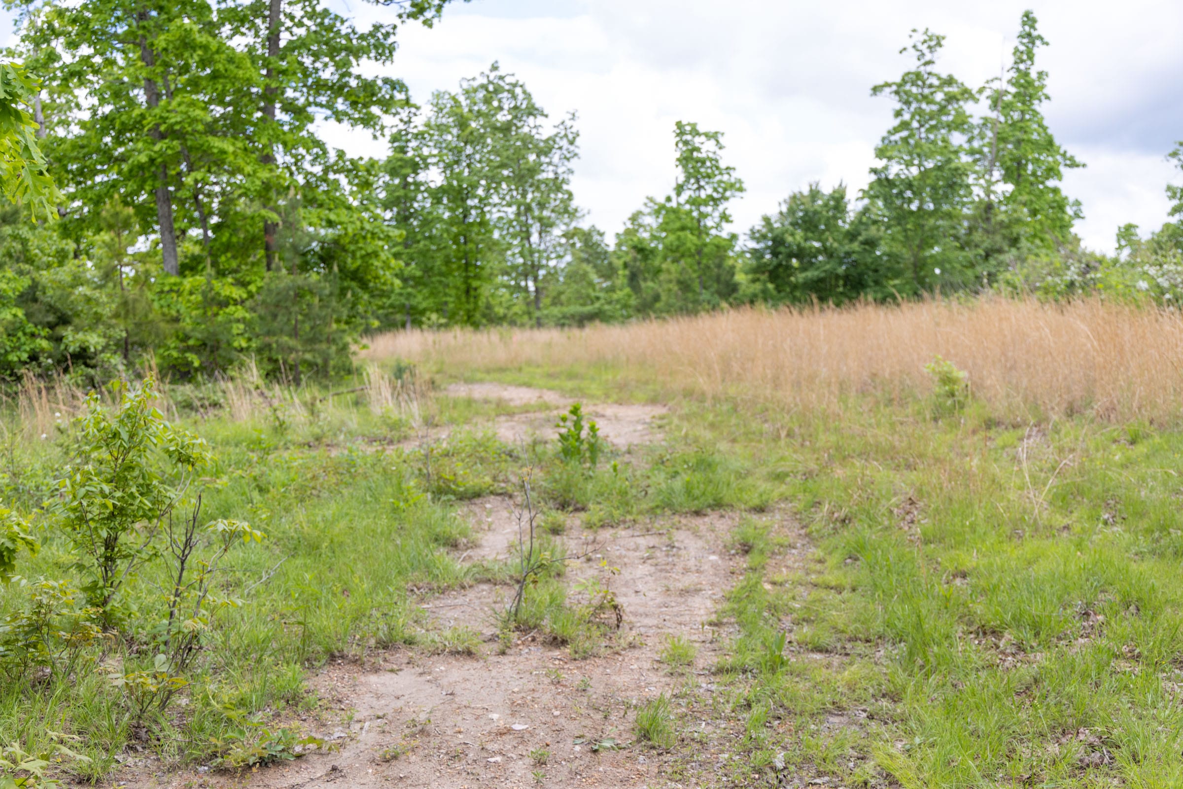 Sleepy Hollow Phase II Tract 76 photo 5