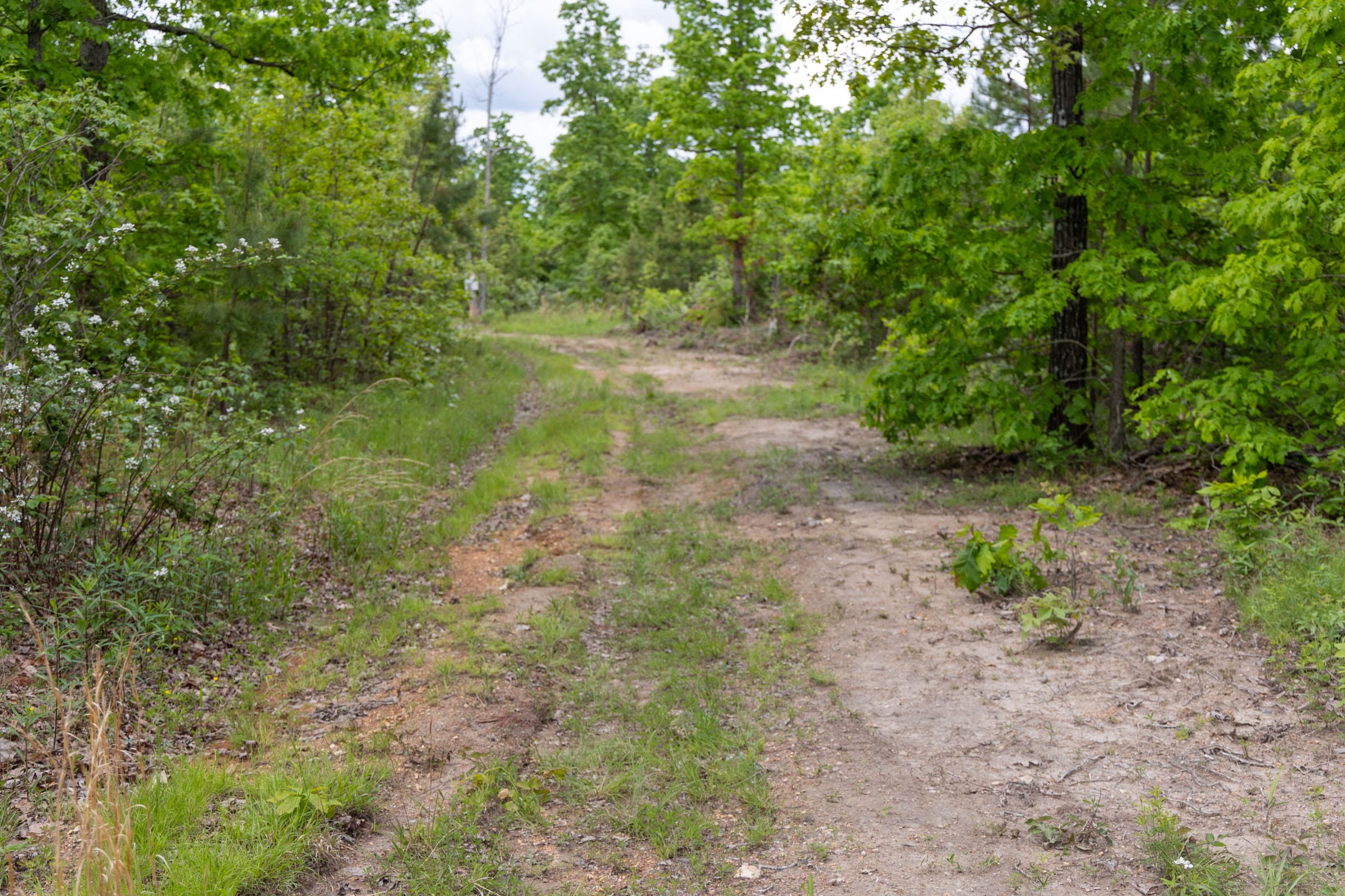 Sleepy Hollow Phase II Tract 76 photo 2