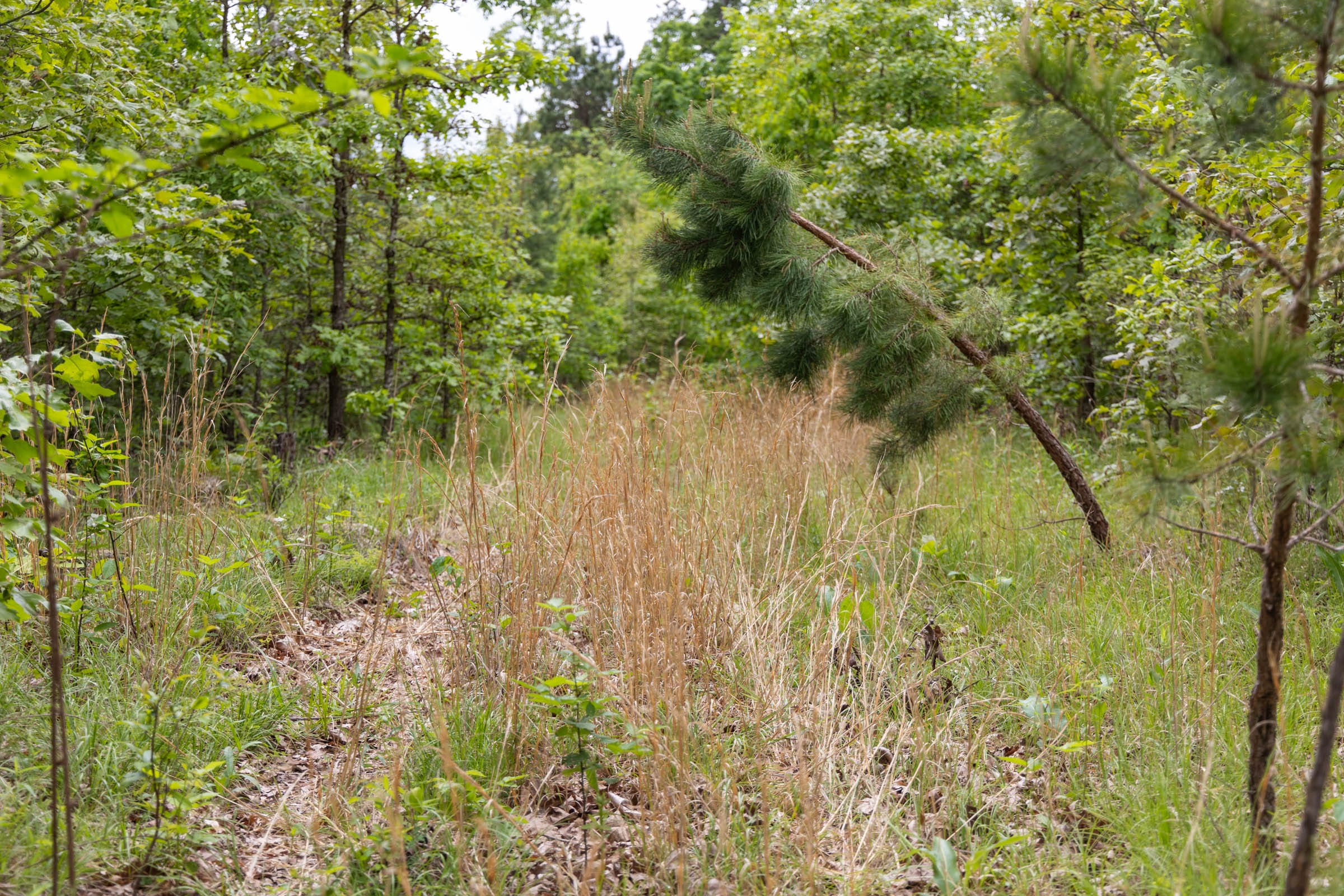 Sleepy Hollow Phase II Tract 76 photo 3