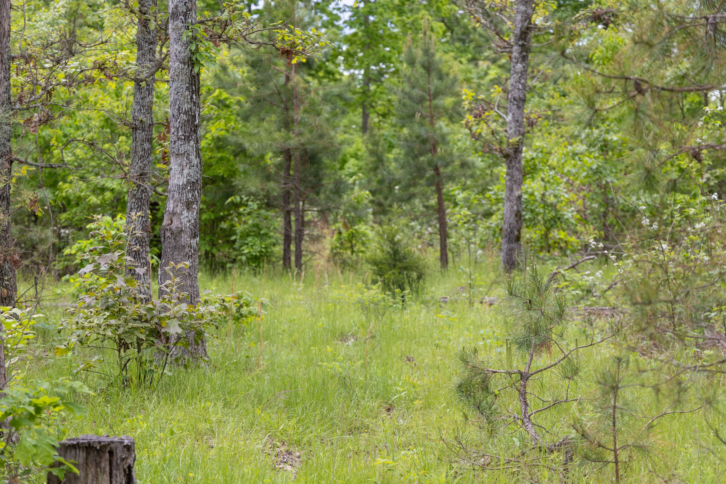 Sleepy Hollow Phase II Tract 76 photo 1