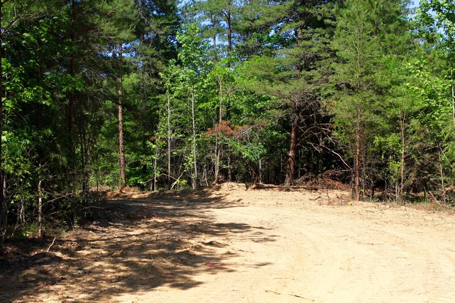 Hickory Hill Ranch Tract 7 photo 8