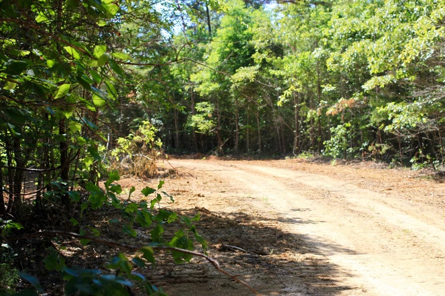 Hickory Hill Ranch Tract 7 photo 4