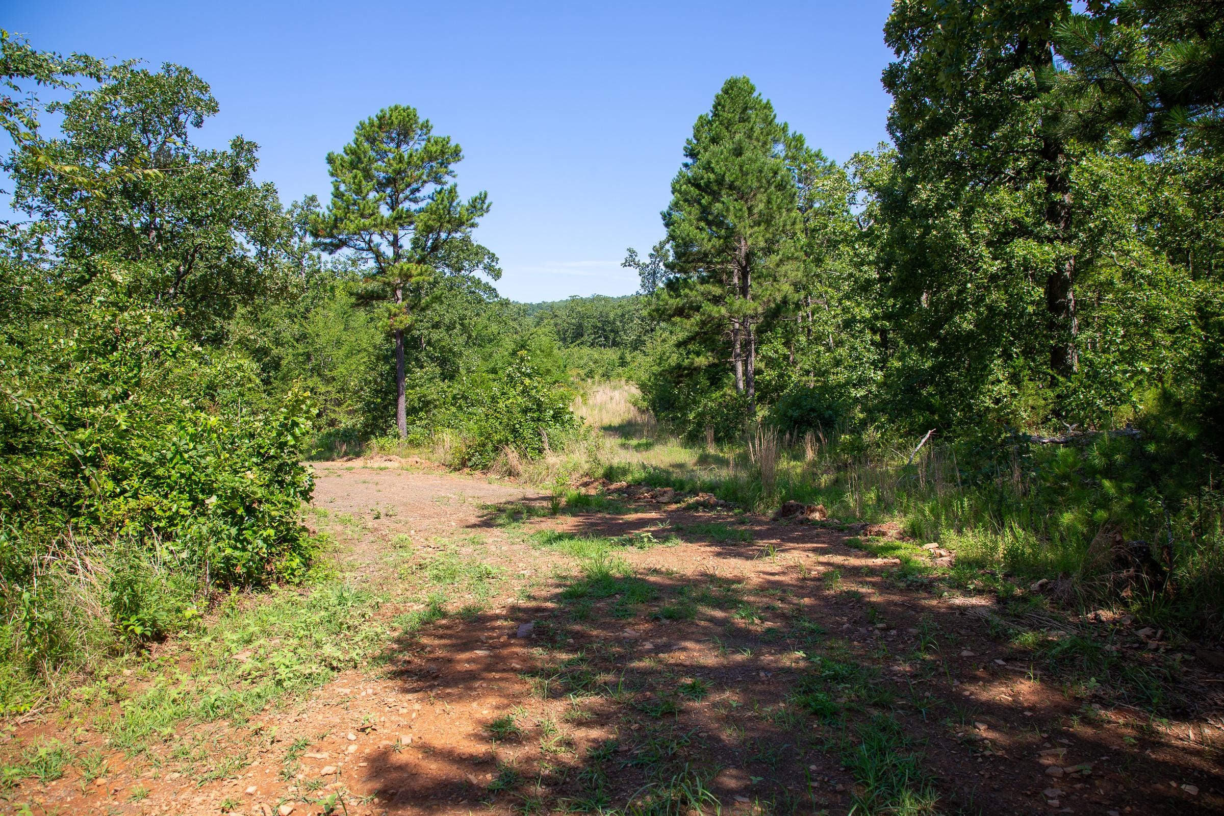 Tyler Stone Ranch Tract 43 photo 3