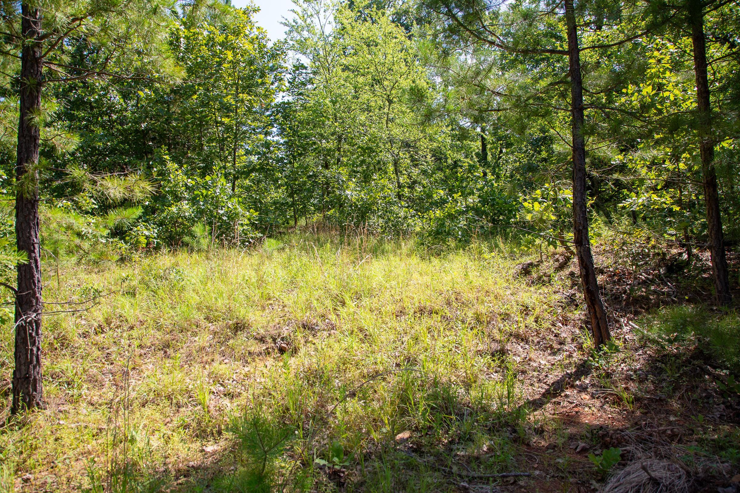 Tyler Stone Ranch Tract 43 photo 4