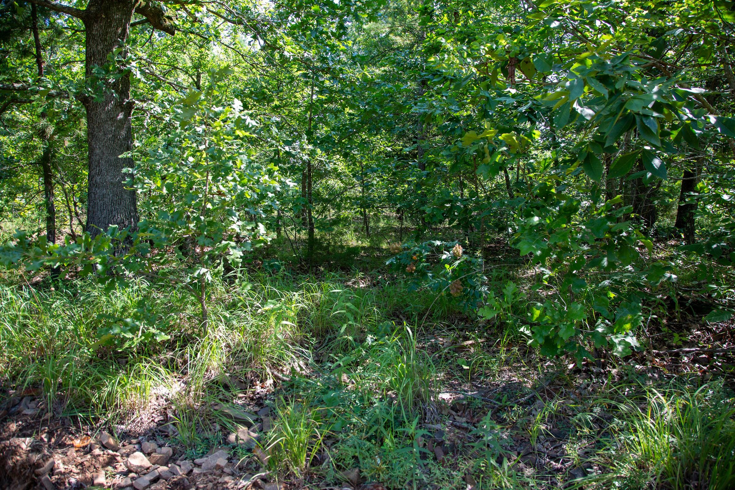 Tyler Stone Ranch Tract 43 photo 5