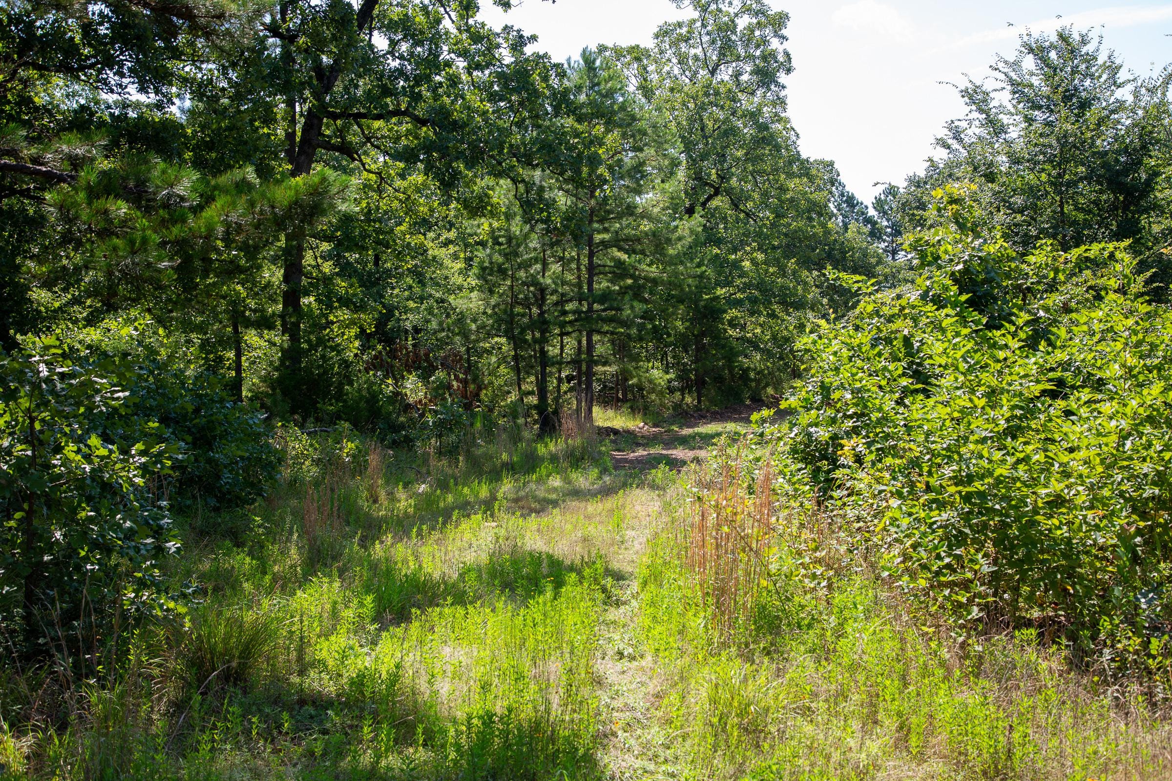 Tyler Stone Ranch Tract 43 photo 6