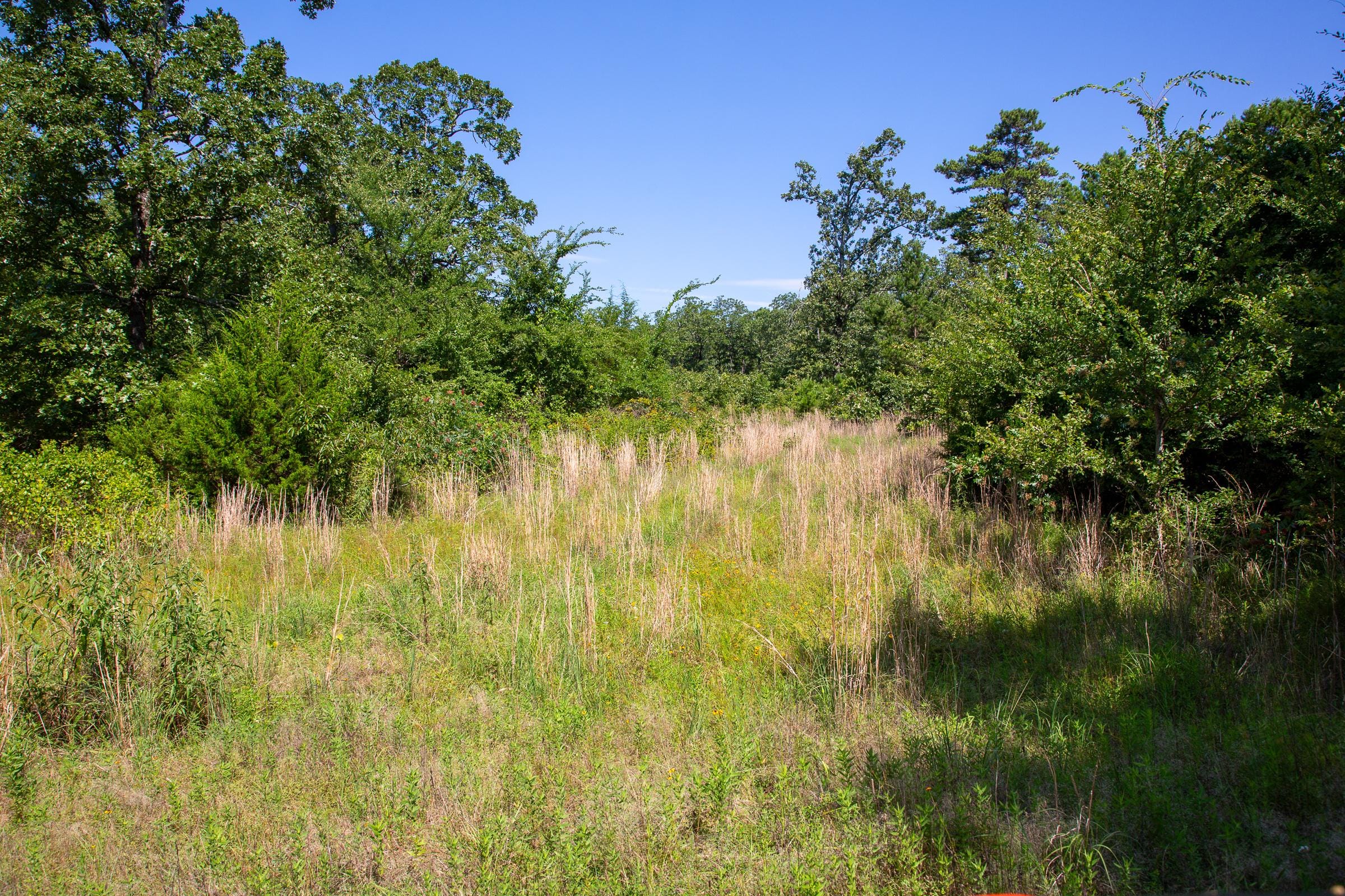 Tyler Stone Ranch Tract 43 photo 7