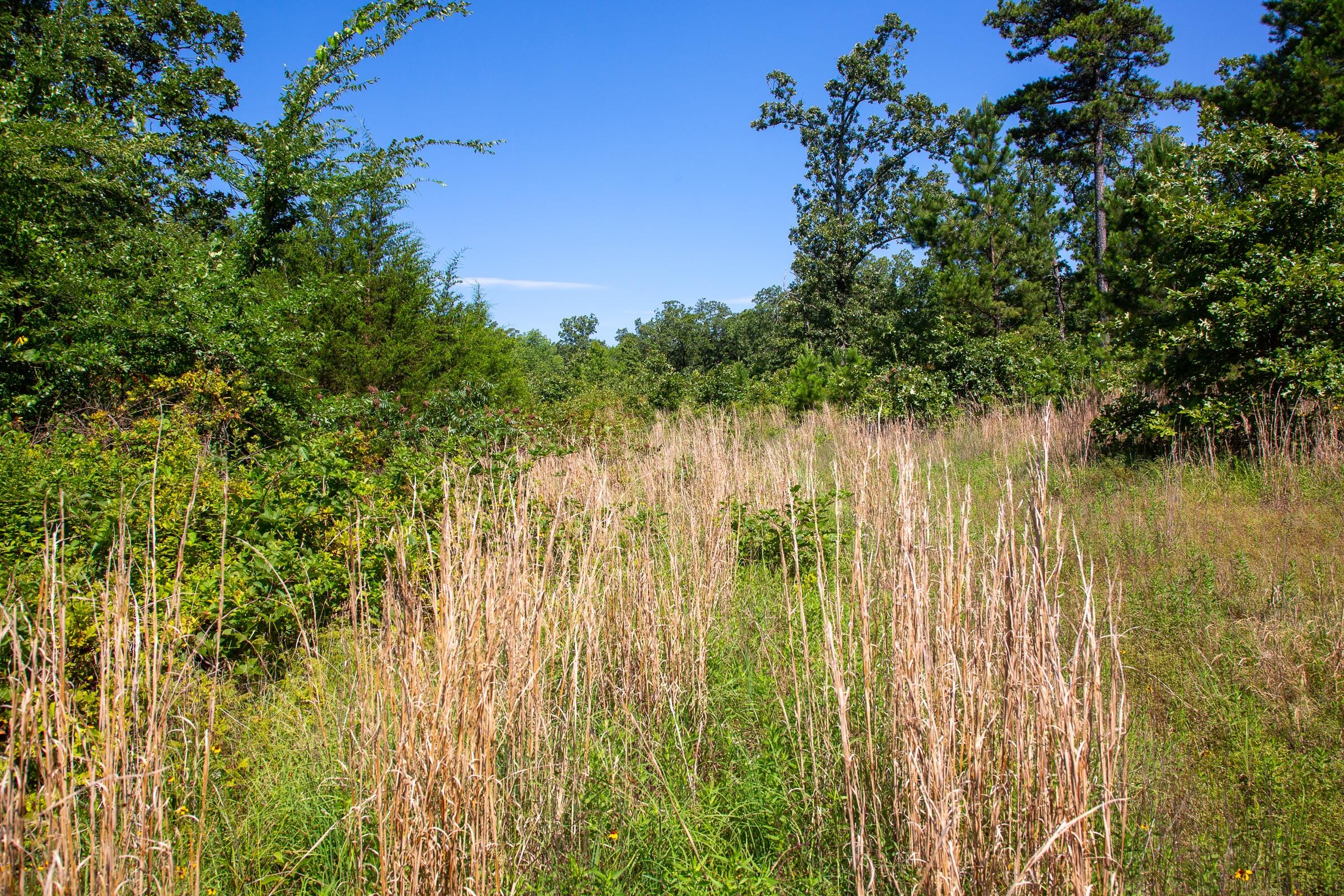 Tyler Stone Ranch Tract 43 photo 8