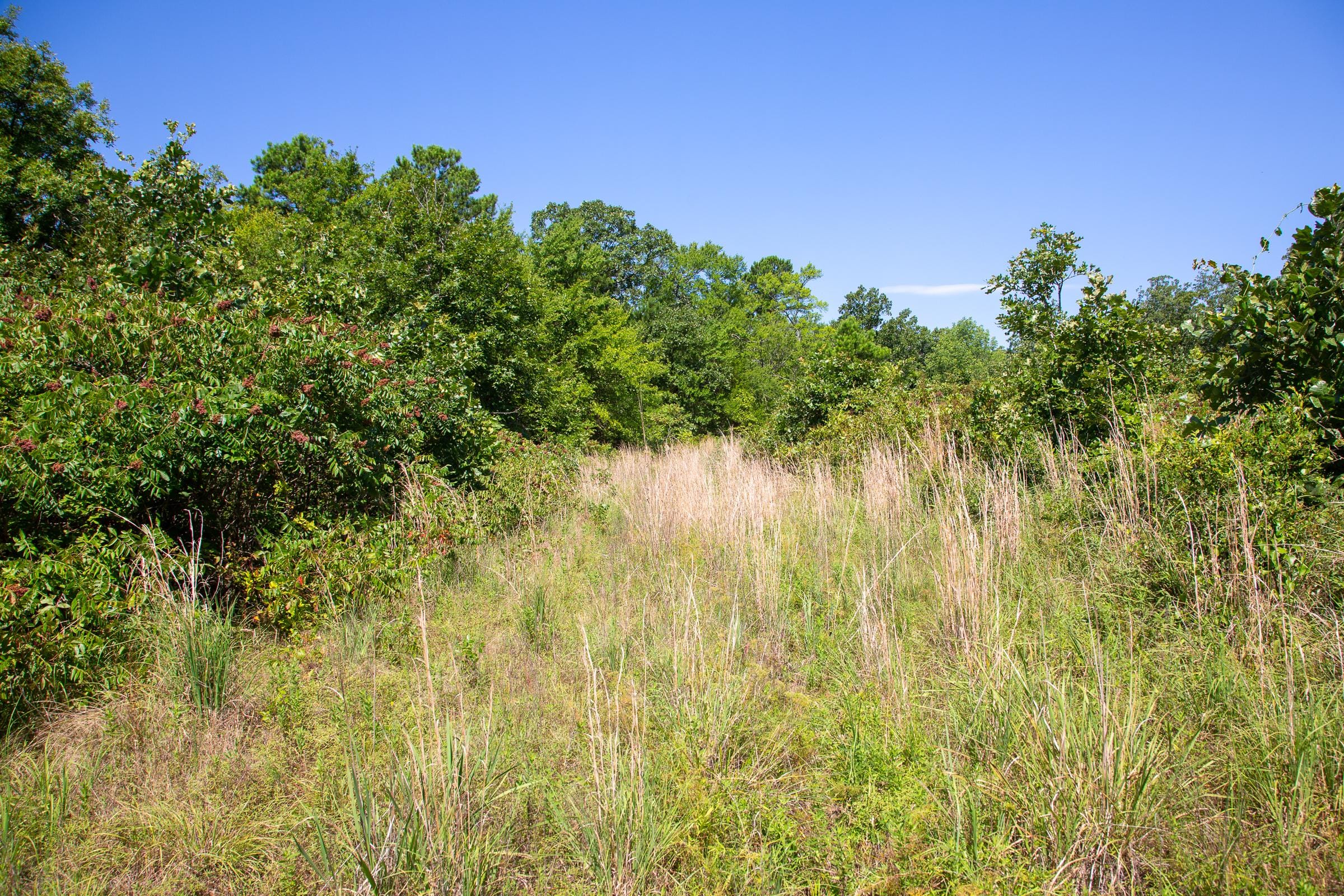 Tyler Stone Ranch Tract 43 photo 9
