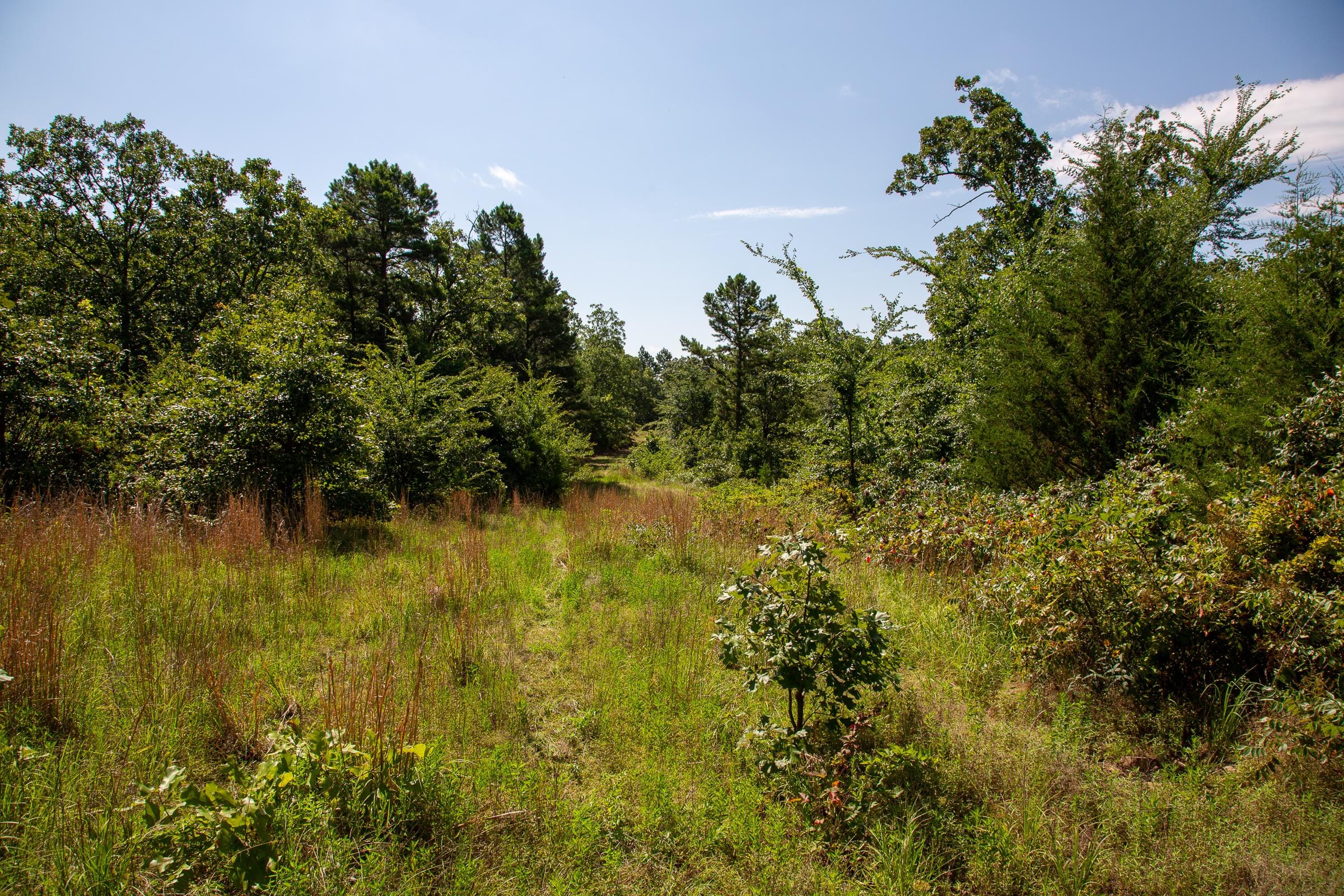 Tyler Stone Ranch Tract 43 photo 10