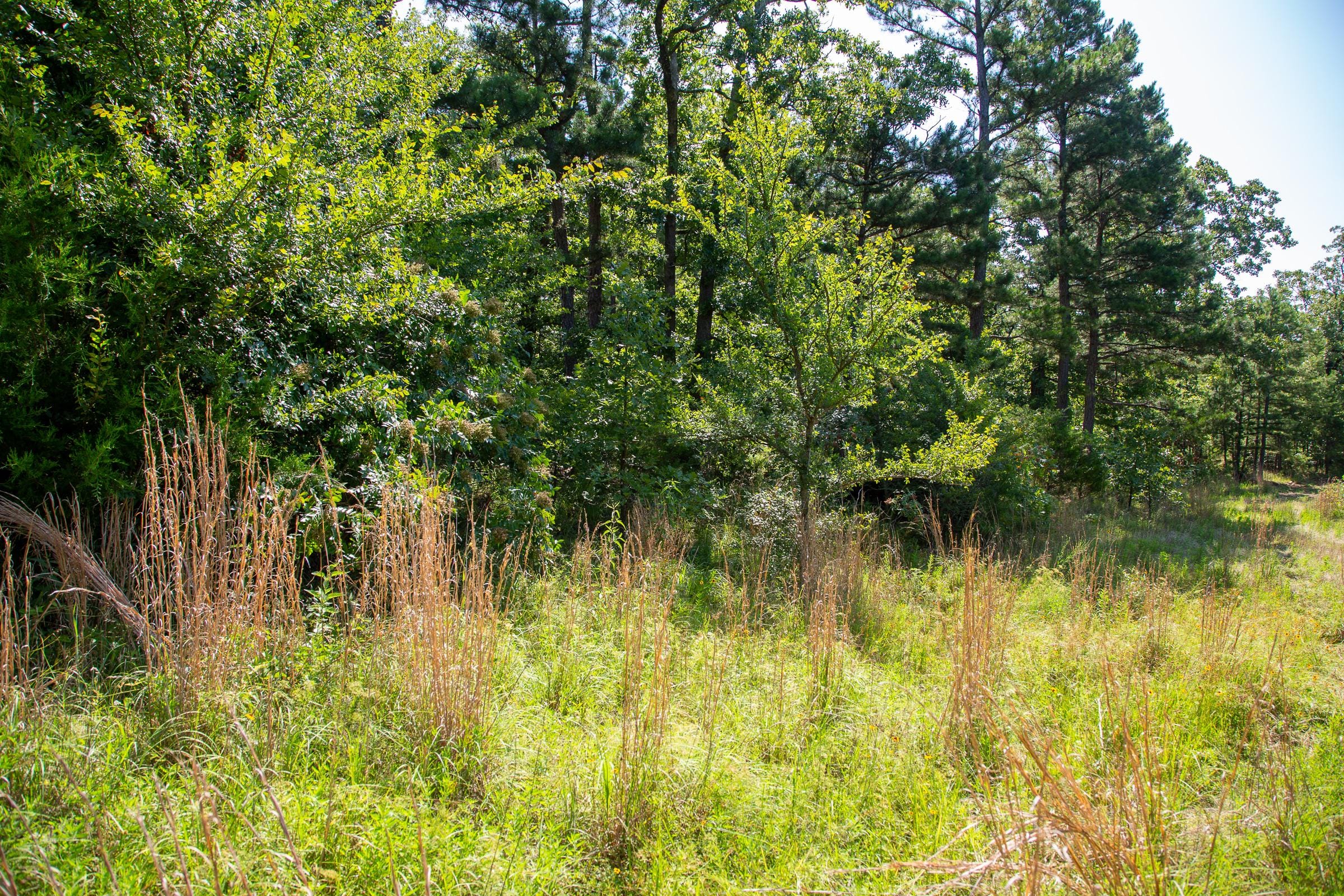 Tyler Stone Ranch Tract 43 photo 11