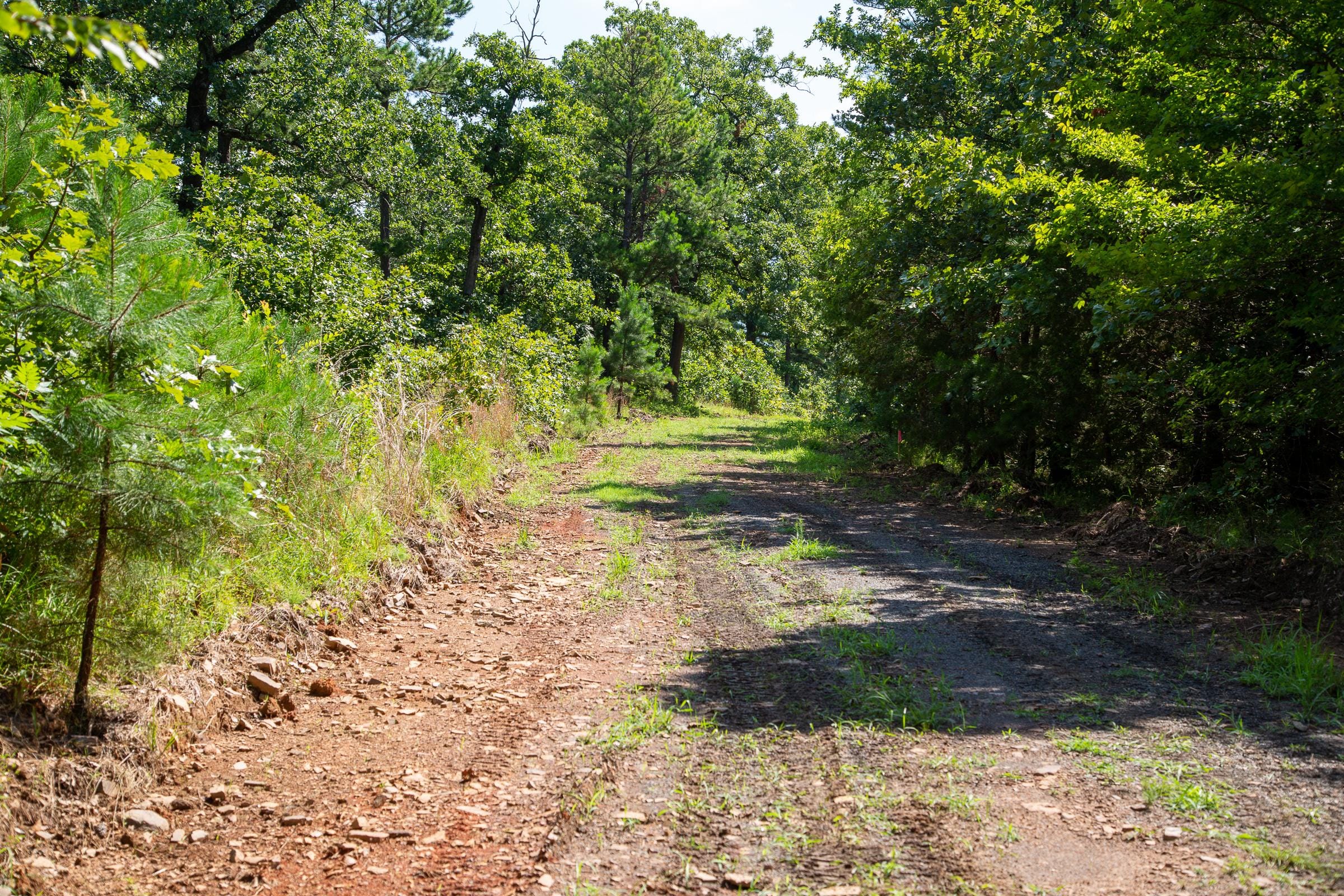 Tyler Stone Ranch Tract 43 photo 12