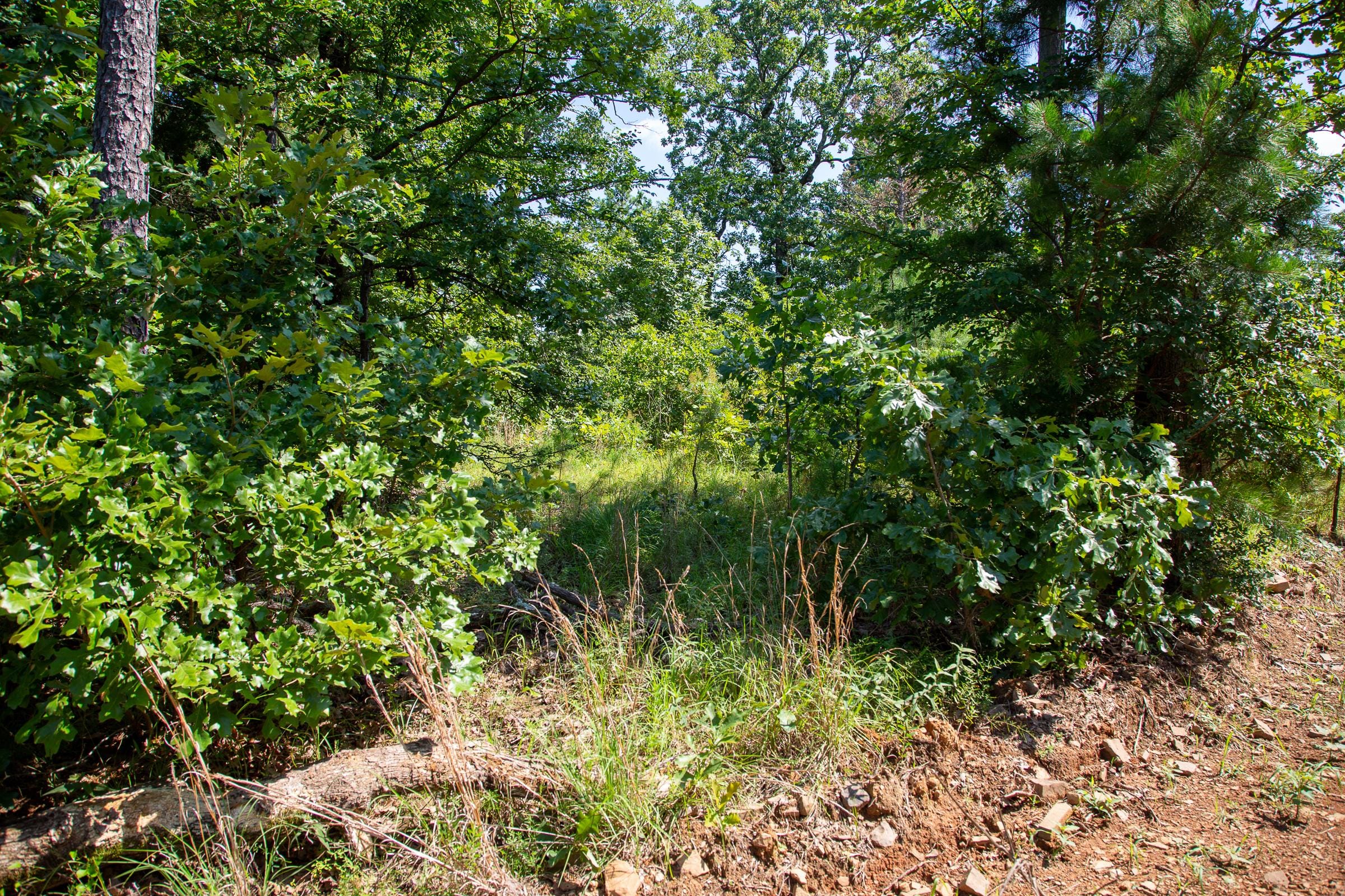 Tyler Stone Ranch Tract 43 photo 13
