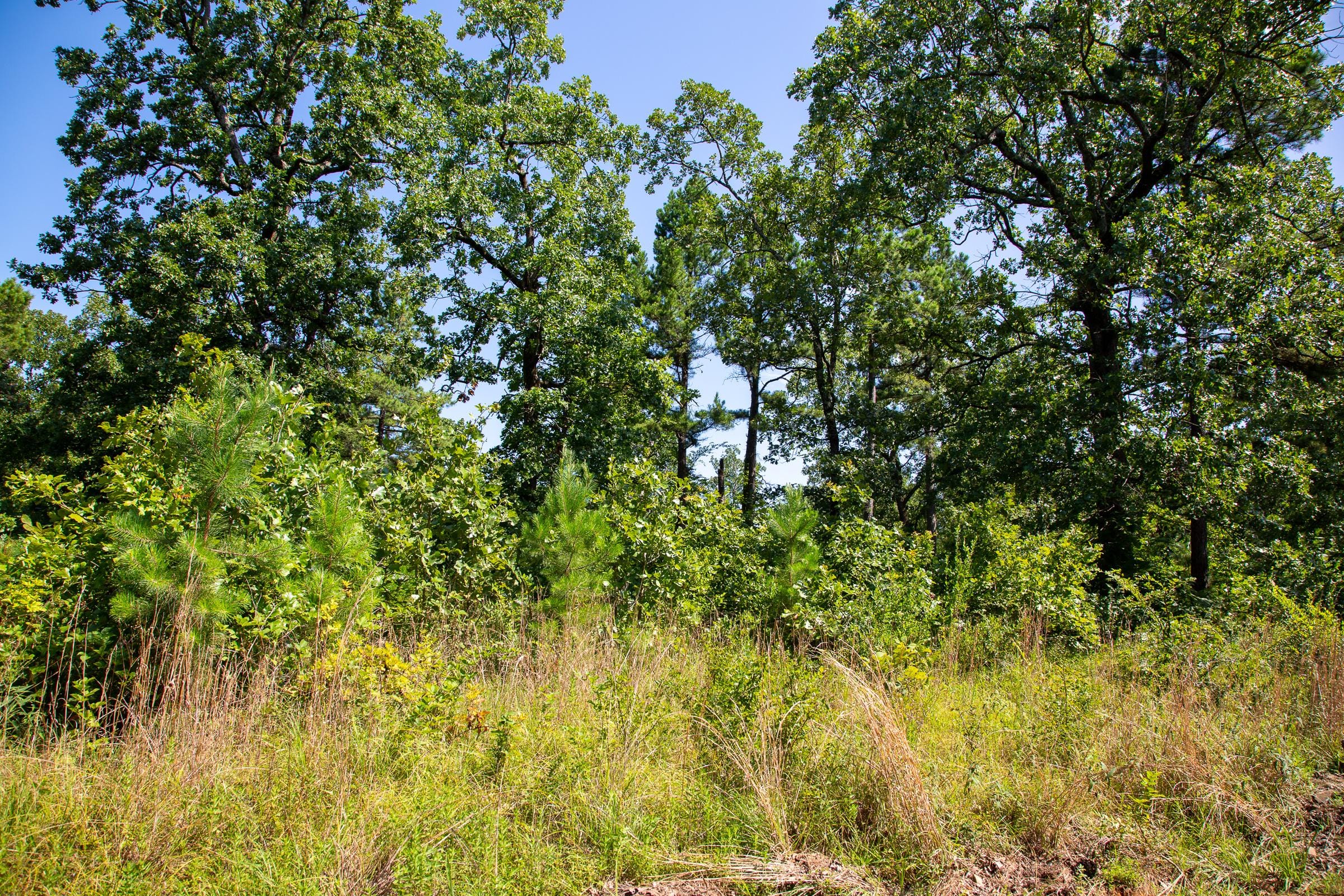 Tyler Stone Ranch Tract 43 photo 14